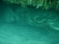 Pesca Sub Brasil - Meros
