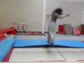 Full Twisting Backflip-Andrew(2).3gp