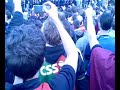 NEC siege sagge