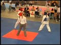 Austrian Open 2008 - D'Amico Rosita
