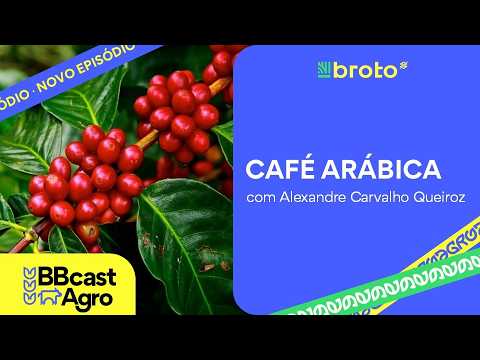 Café arábica: colheita, clima e volatilidade marcam o mercado | BBCast Agro - 05/08/2026