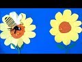 Pollen a Stop Motion Science