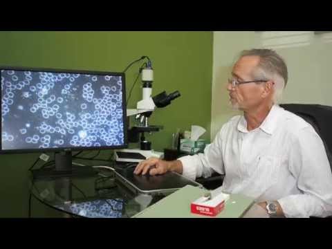 how to assess nutritional status