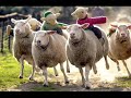 ��� ������ ����� ����� - ��� ������ ����� �����