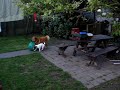 Tikko & Denny