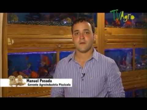 - Acuario Calypso - Acuario Calypso