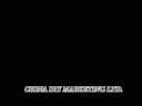 DRS0703-2B.wmv