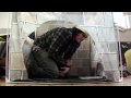 Maintenance Man
