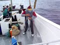 Rabo de Peixe Baiboia Três Pastorinhos pesca profissional Rabo de Peixe Baiboia Três Pastorinhos pesca profissional