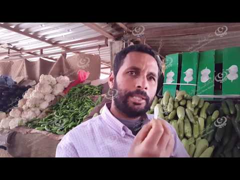 استطلاع أراء المواطنين والباعة حول الأسعار مع بداية شهر رمضان بطبرق الشرقية