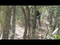 Riding Covertly (IL Version)
