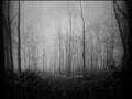 Ikuinen Kaamos - Ascent