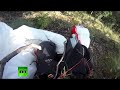 Драматичное видео: Гриф столкнулся с парапланом