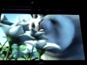 DMfest Big Bunny DMfest Big Bunny