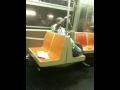 Q train from booklyn