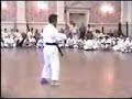 Wansu Kata by Master Uechi