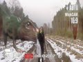 Hot Brunette Stalked By T-REX,,,honest (blender 2.45 test) Hot Brunette Stalked By T-REX,,,honest (blender 2.45 test)