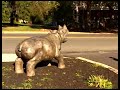 Two by Four  -  Cody Jennings  part
