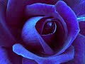 Everything Happens F