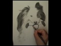 Drawing of a customers dog #1 by Joy Argento