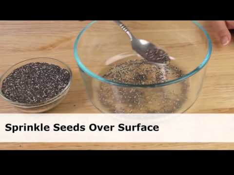 how to harvest chia seeds
