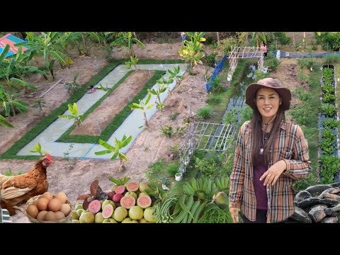 แปลงเกษตรสวนผสมผสาน