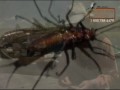 Fly Fishing Henry\ Fly Fishing Henry\