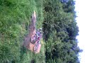 kierans crazy stunt 2