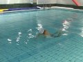 Total Immersion Breaststroke Demo by Shinji Takeuchi