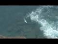 63 Pound Ulua Part 3