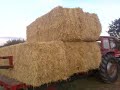 MASSEY FERGUSON 4245