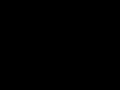 videos de verjaardag miepmop