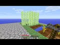 Minecraft: SkyBlock 