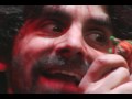 CAUTIVERIO FELIS