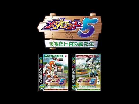 動画