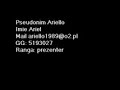 MIX audycji Ariello estacja MIX audycji Ariello estacja