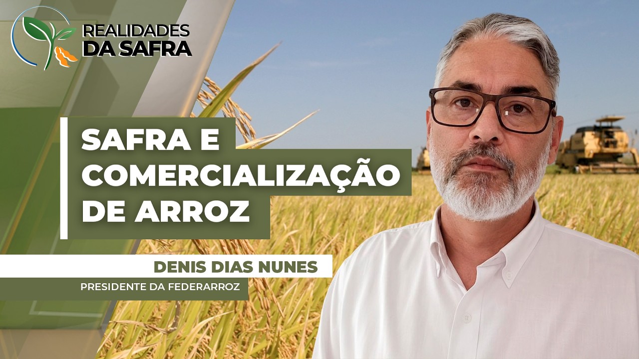 Dada como encerrada, safra de arroz no RS consolida perdas em relação ao ciclo anterior