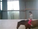 Bareback Bridleless :)