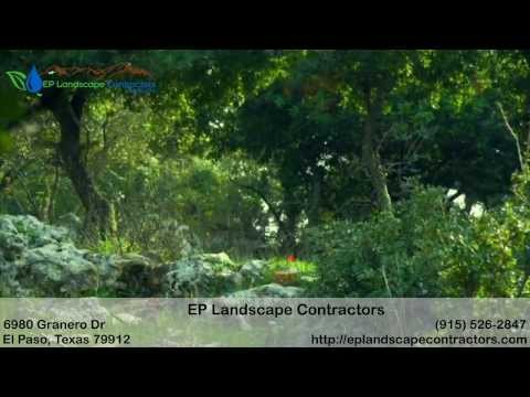how to grow grass in el paso tx