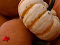 Pumpkin Farmers Welcome Fall With Crops