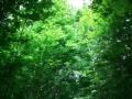 Mixed signals ~ch6~