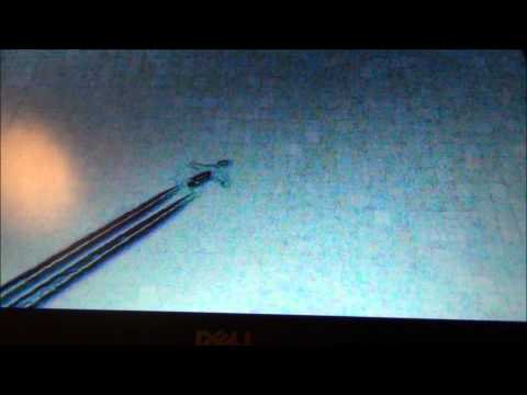 A FLEET OF ORBS ALONGSIDE CHEMTRAILS yes these craft are holograms LIQUID CRYSTALS MAGNIFYING EMFs_Legjobb vide�k: Nap