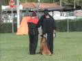videos de Luigi - Belgian Malinois - Sch III Protection