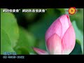 穎陞光碟--網路發表會 640X480