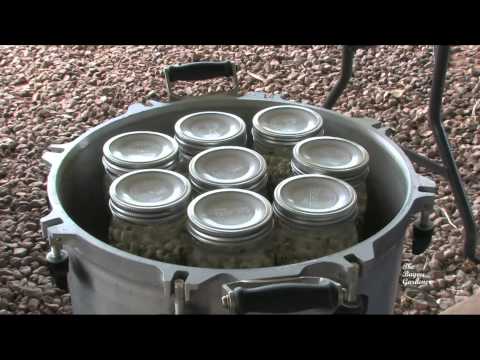how to fertilize black eyed peas