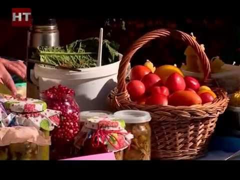 Сельхоз ярмарка 2018 великий новгород когда Сельхоз ярмарка 2018 великий новгород когда