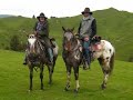 Horse trekking in New Zealand