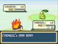 Pokémon Diaries 1 Pokémon Diaries 1
