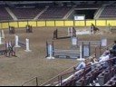 Purebred Arabian jumper, BTA Intriques Finesse, in the jump off for the open Jumpers at Sport Horse Nationals 2008.
