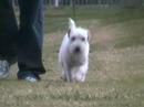 Evie Going and Coming